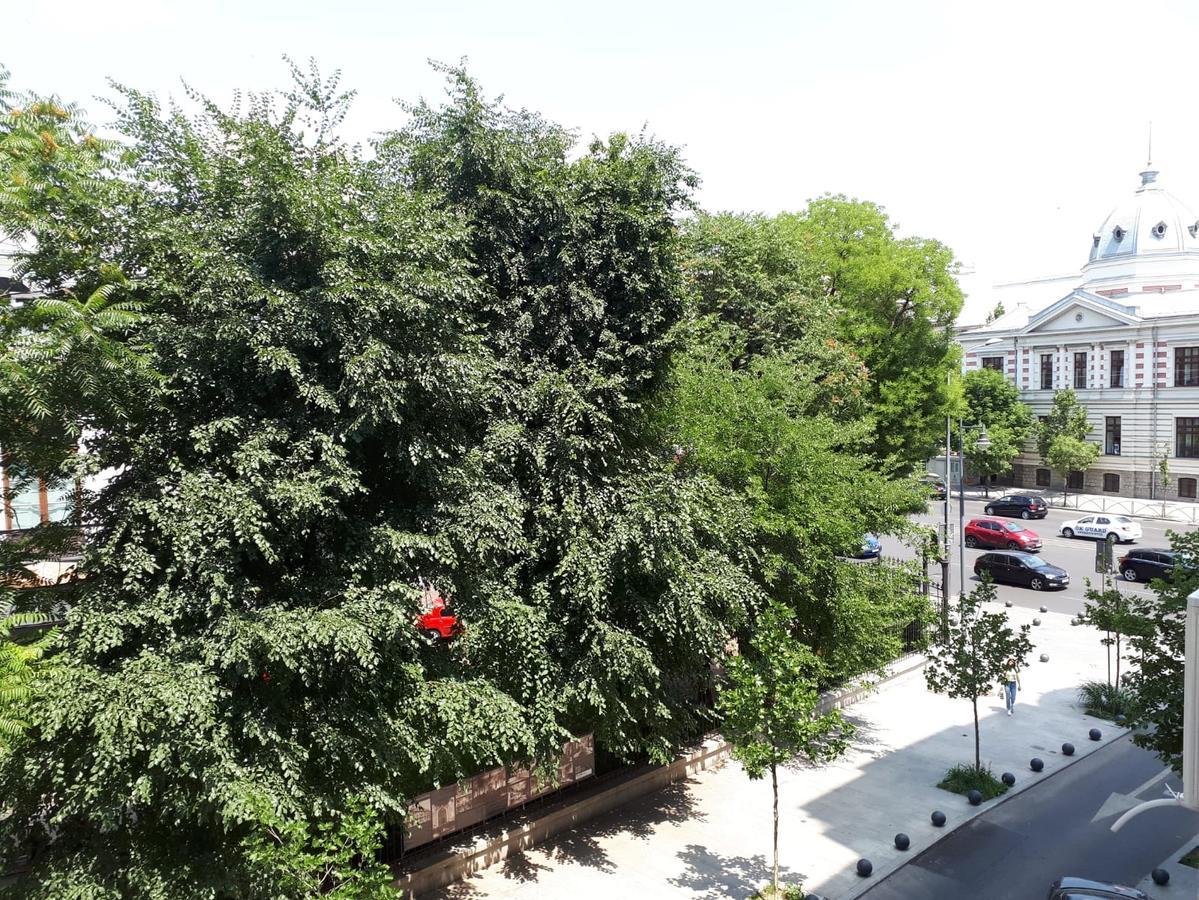 Studio Old Center Bucureşti Ngoại thất bức ảnh