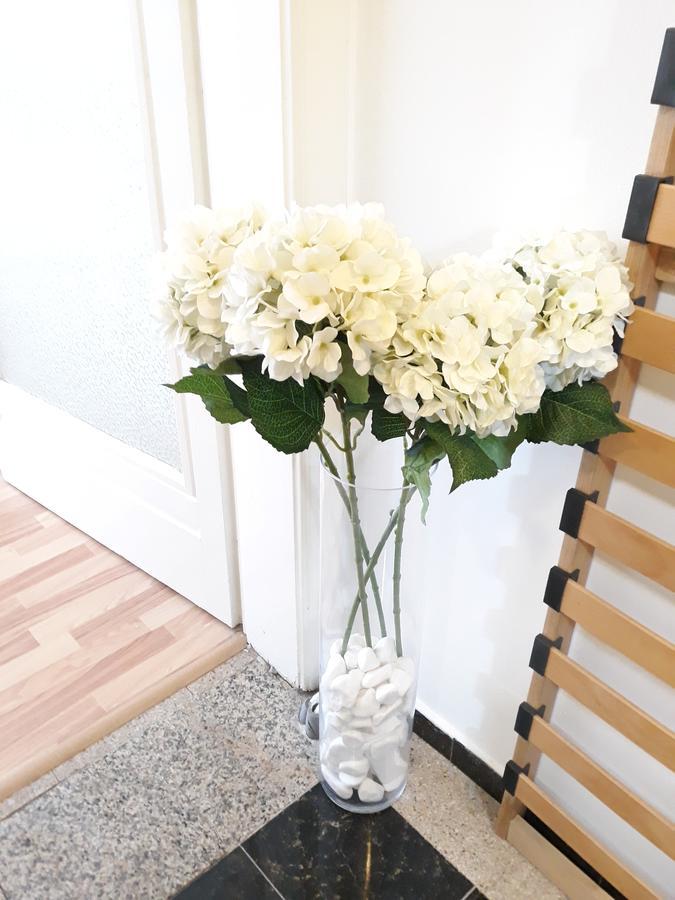 Studio Old Center Bucureşti Ngoại thất bức ảnh